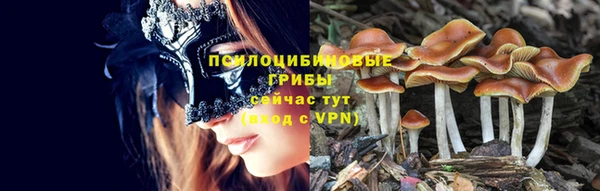ГАЛЛЮЦИНОГЕННЫЕ ГРИБЫ Майский