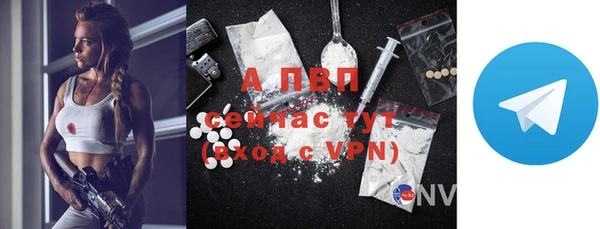 ГАЛЛЮЦИНОГЕННЫЕ ГРИБЫ Майский