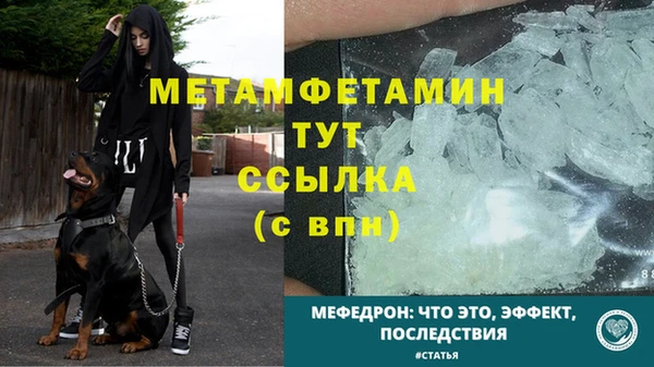 ГАЛЛЮЦИНОГЕННЫЕ ГРИБЫ Майский