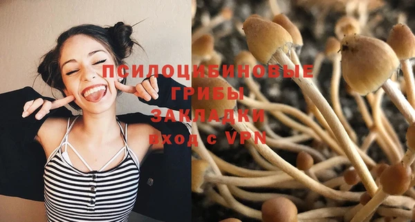 стафф Магас